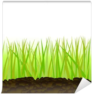  Green Grass Vector Illustration Wall Mural U2022 Pixers We Live To Change Sweet Grass Png Grass Vector Png