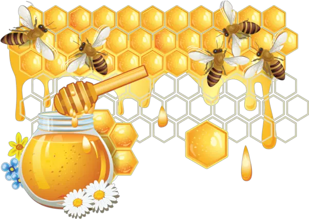  Bee Png Bee Honey Bee Png