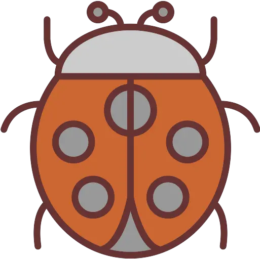  Ladybug Png Icon Ladybird Beetle Ladybug Png