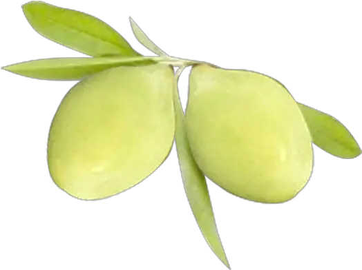  Download Kakadu Plum Png Image With Kakadu Plum Photo Free Plum Png