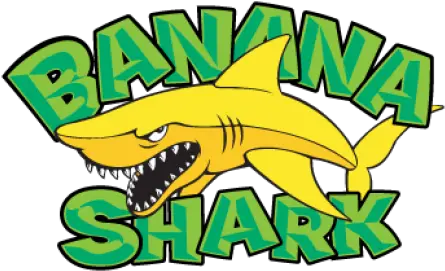  Banana Shark Logo Vector Free Download Banana Shark Logo Vector Png Shark Logo Png