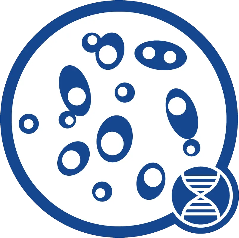  Yeast Dna Icon Yeast Dna Extraction Clipart Png Download Dot Dna Helix Icon