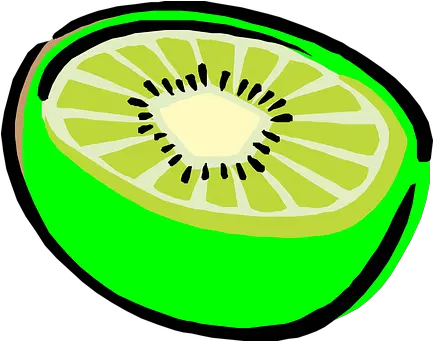  Free Kiwi Fruit Illustrations Kiwi Clip Art Png Kiwi Transparent