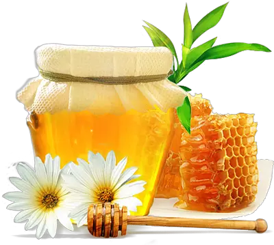  Honey Transparent Png Image Honey Png Honey Transparent