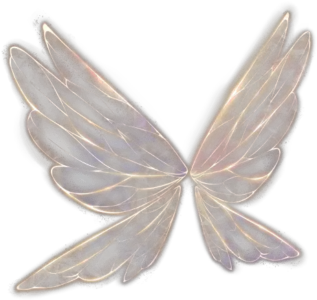  Angle Anglewings Angles Wing Wings Butterfly Butterflie Translucent Fairy Wings Png Transparent Angle Wings Png