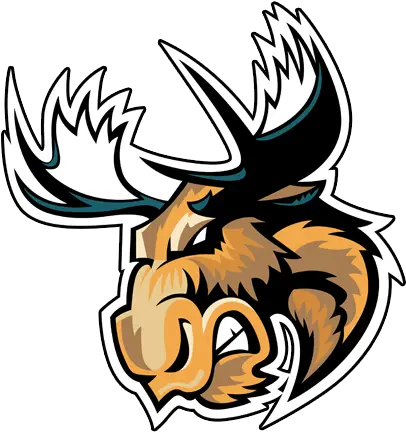  Schedule Yfchl Manitoba Moose Png Moose Png