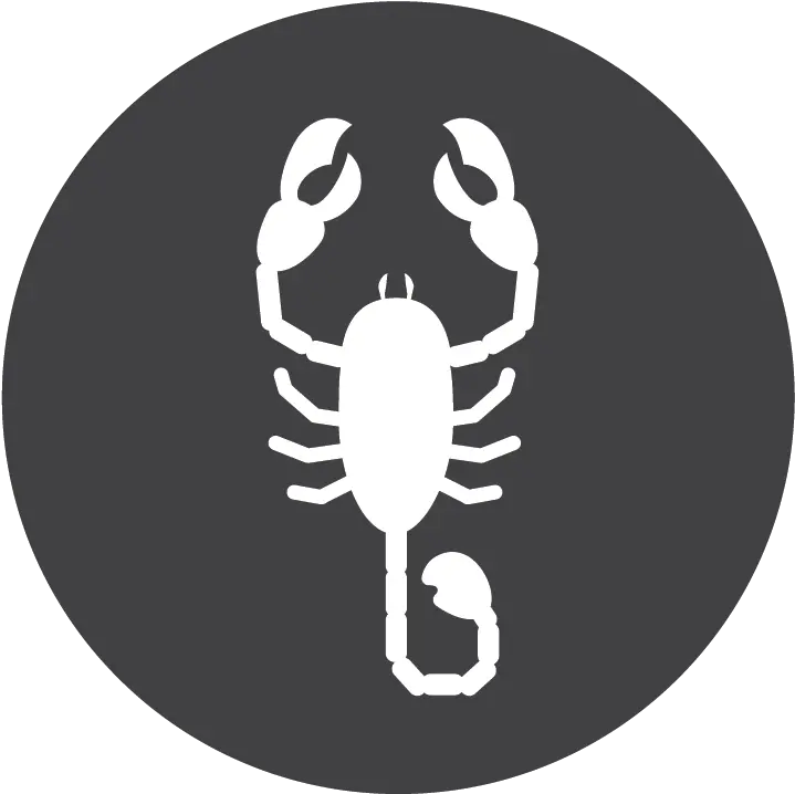  Pest Defense U2013 Taexx Scorpion Png There Is A Bug Icon In Grey On My Youtube Upload Page