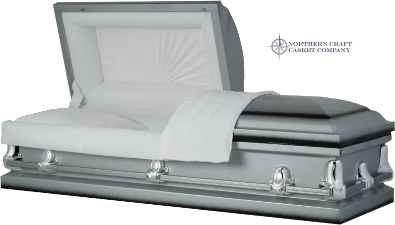  Download Hd Omega Silver Coffin Transparent Png Image High Quality Casket Coffin Png