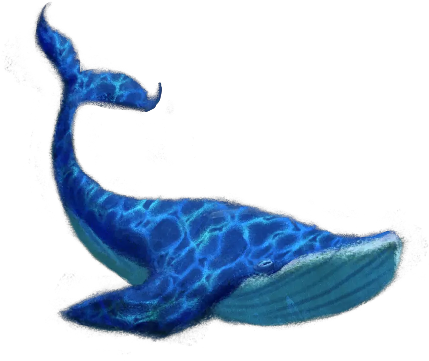  Blue Whale Png Transparent Image Transparent Background Blue Whale Png Whale Transparent Background