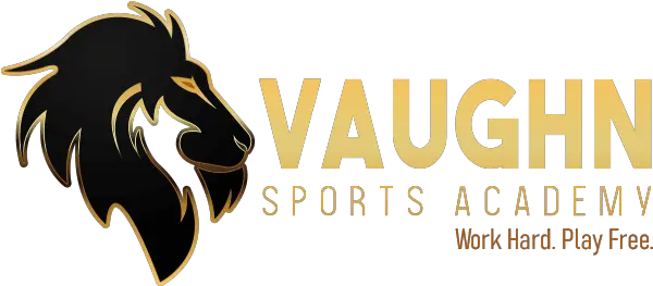  Home Vaughn Sports Academy Png Sports Icon Calling It Quits