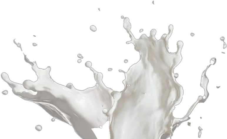  Vector Milk Splash Milk Splash Milk Png Milk Splash Png