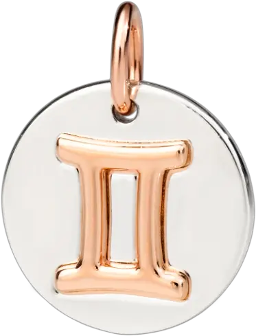  Gemini Zodiac Charm Solid Png Gemini Icon