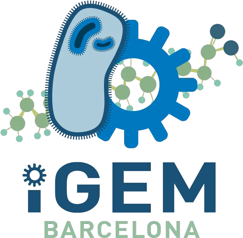  Teamupf Crg Barcelonagraphicdesign 2018igemorg Igem Barcelona Png Barcelona Logo