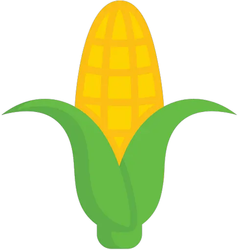  Available In Svg Png Eps Ai Icon Fonts Corn Icon Png Corn Png