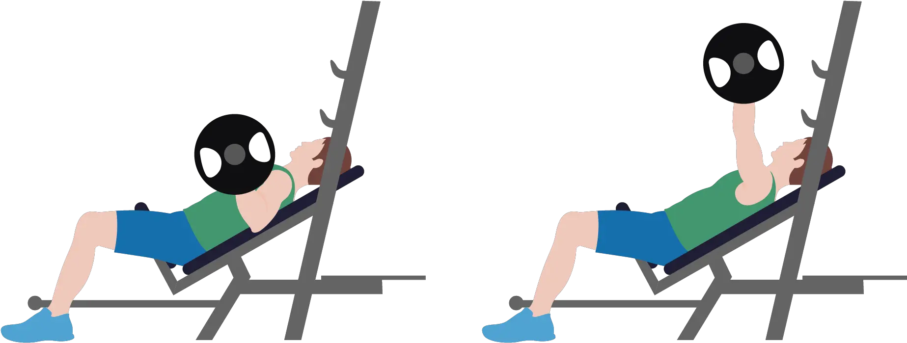  Incline Barbell Bench Press Sitting Transparent Cartoon For Adult Png Bench Press Icon