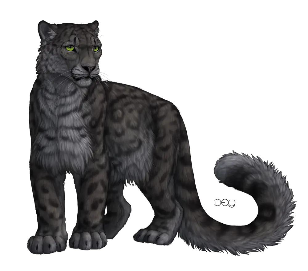  Download Free Png Panther Transparent Images Dlpngcom Black Panther And Snow Leopard Panther Transparent