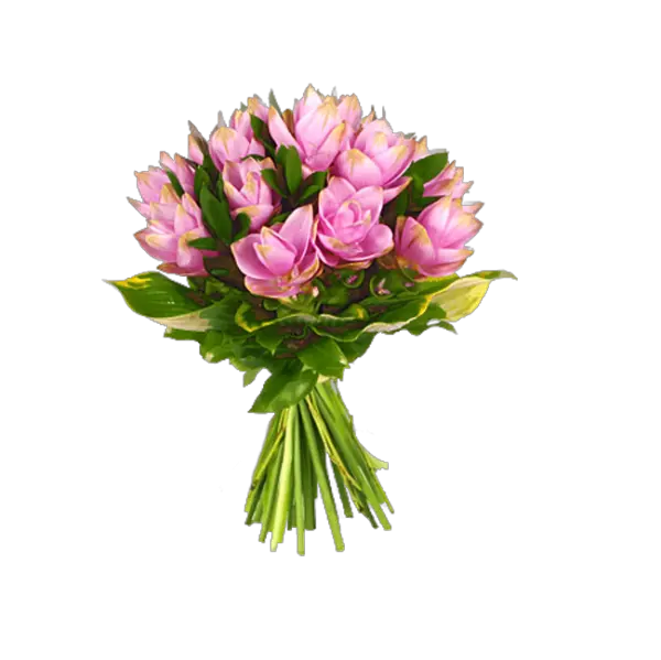  Download Photo Bouque Png Image 2 Flowers Al Jossie Fotki Bucket Of Flowers Png Flowers Bouquet Png