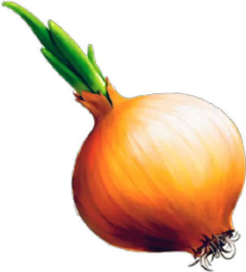  Onion Png Free Download 20 Jokes About Translators Onion Png
