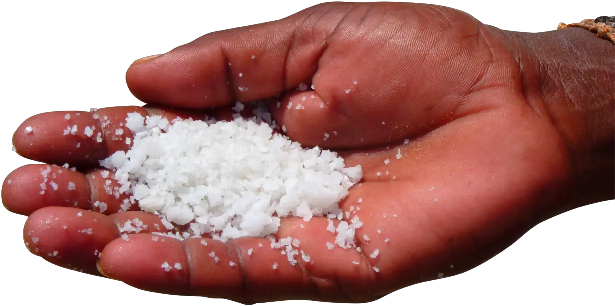  Sea Salt In Palm Of Hand Png Image Purepng Free Salt Taste In Water Salt Transparent Background