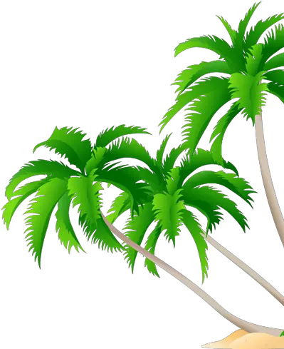  1800 Central Commerce Court High Resolution Coconut Tree High Resolution Coconut Tree Png Leaf Vector Png