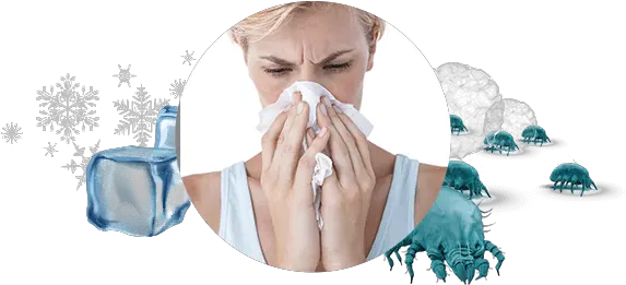  Why It Is Important To Keep Allergies From Getting Worse Girl Png Dust Effect Png