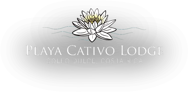  Retreat To Playa Cativo Costa Rica Playa Cativo Lodge Png Costa Vida Logo