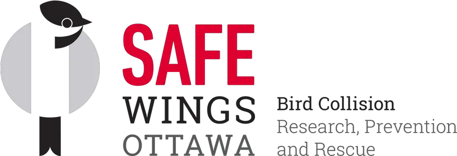  Save An Injured Bird U2013 Safe Wings Ottawa Safe Wings Ottawa Logo Png Bird Car Logo