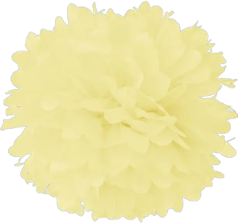  6 Powder Blue Tissue Pom Poms U2013 Lanterns And More Decorative Png Pom Poms Png