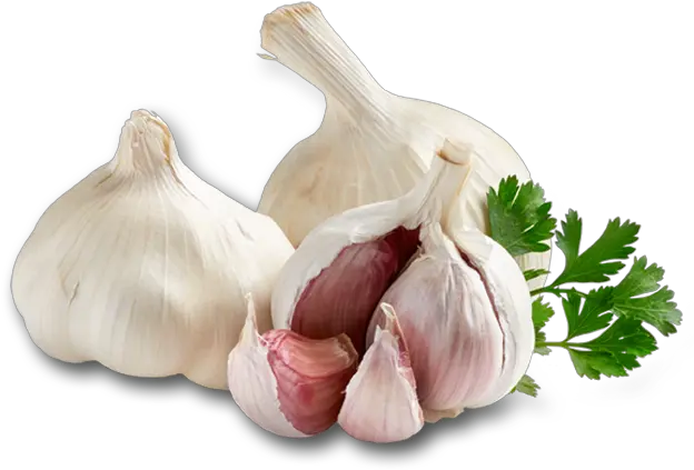  Hd Garlic Transparent Png Image Elephant Garlic Garlic Transparent Background