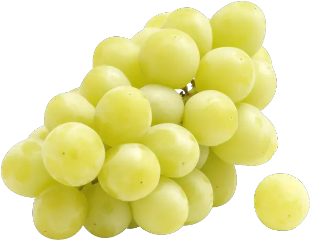  Download Thompson Seedless Sugra One Black Flame Transparent One Grape Png Grape Png