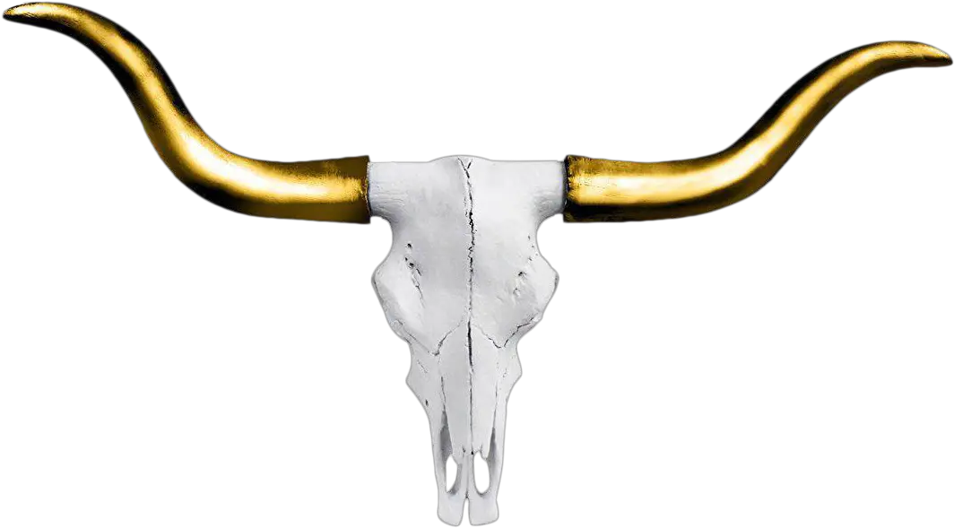  Mini Faux Texas Longhorn Cow Skull Wall Hanging Sculpture Longhorn Head Png Cow Skull Png