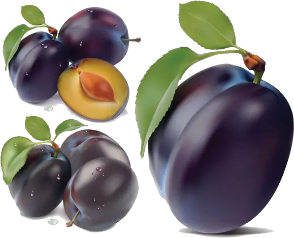  Download Plum Png Image Plum Png Plum Png