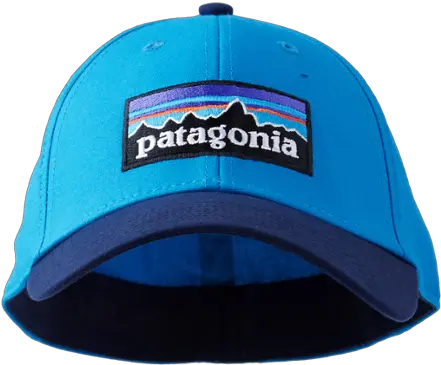  Patagonia P Patagonia Trucker Hat Png Patagonia Logo Transparent