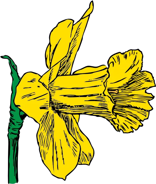  Daffodil Clip Art Free Svg Sideways Flower Clipart Png Daffodil Icon