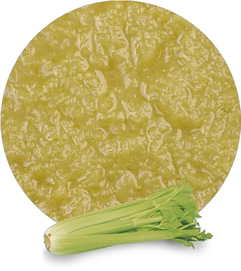  Celery Puree Vegetable Png Celery Png