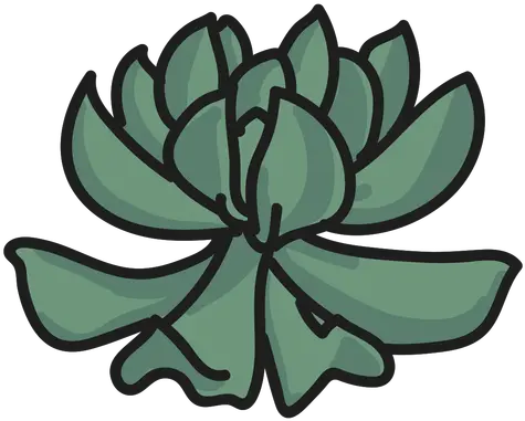  Plant Doodle Illustration Succulent Transparent Png U0026 Svg Clip Art Succulent Transparent Background