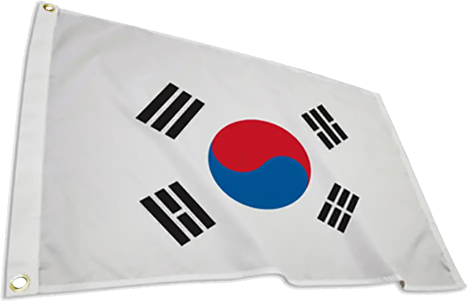  South Korea International Flag Sarang Church Png South Korea Flag Png