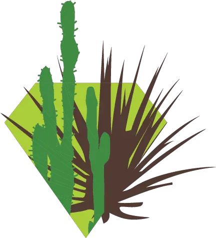  Crown Jewels De Hortus Sabal Palm Png Desert Plant Png