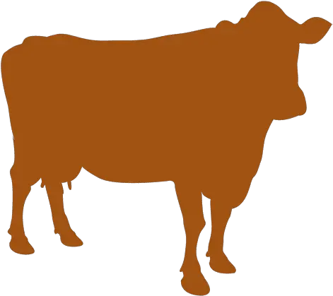  Farm Animal Cow Silhouette Transparent Png U0026 Svg Vector File Silueta De Vacas Png Cow Transparent