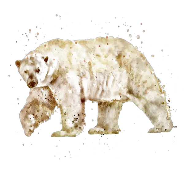  Watercolor Marian Voicu Transparent Transparent Animal Watercolor Png Polar Bear Transparent Background