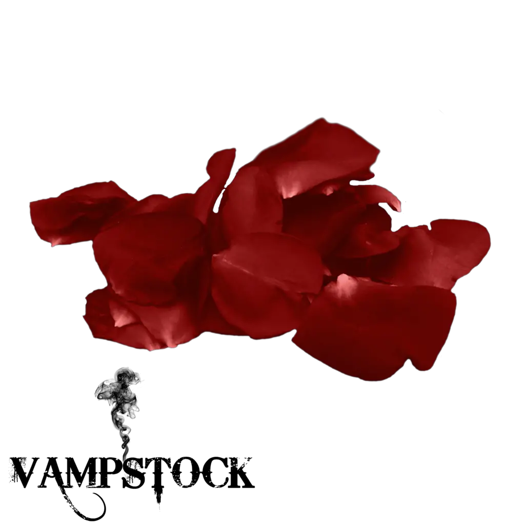  Go To Image Falling Transparent Rose Petals Png Full Black Rose Petals Png Falling Rose Petals Png