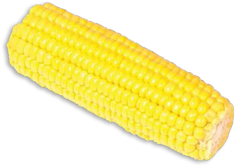  Corn Corn Kernels Png Corn On The Cob Png