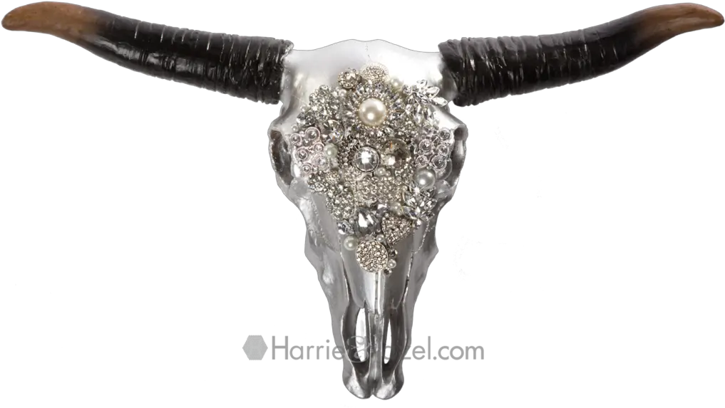  Download Hd Hh Skull Bull Transparent Png Image Nicepngcom Cow Skull Transparent Hd Bull Transparent