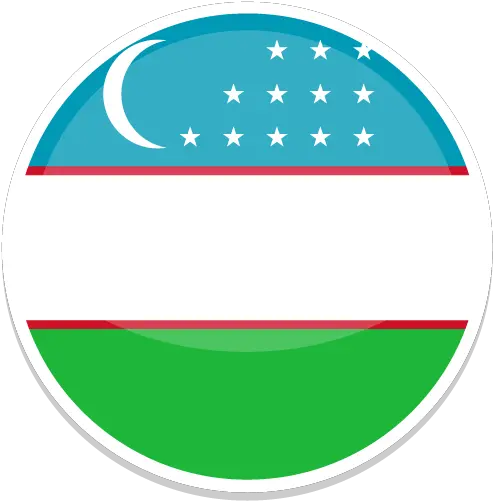  Uzbekistan Icon Png Ico Or Icns Free Vector Icons Özbekistan Bayra Png Cs Go Icon 16x16