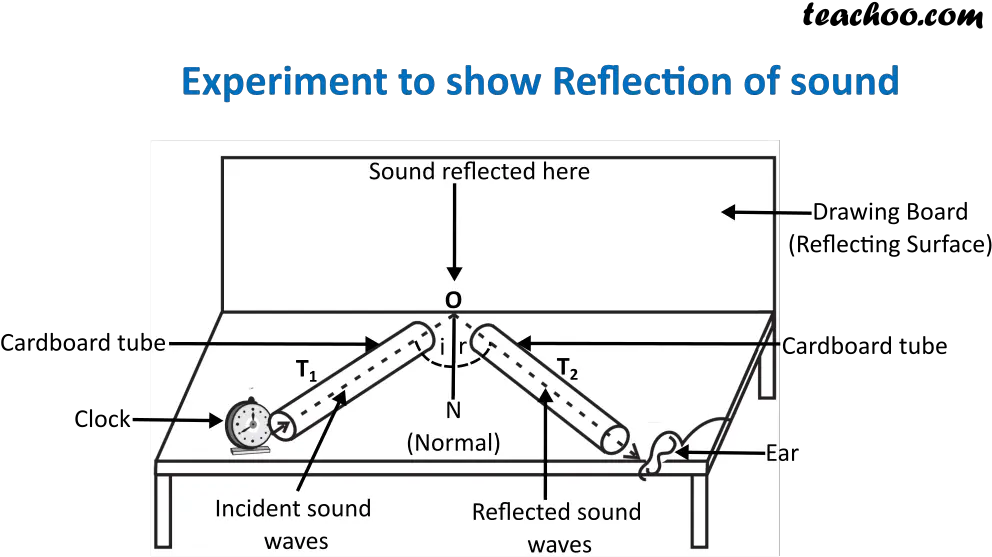  Reflection Of Sound Laws Experiment Practical Uses Teachoo Reflection Of Sound Experiment Teecho Png Sound Waves Png