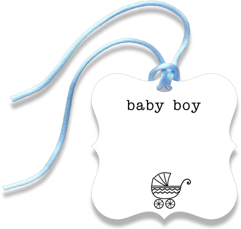  Baby Boy Gift Tag Baby Tag Png Gift Tag Png