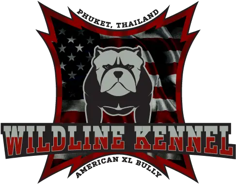  Masculine Upmarket Logo Design For Language Png American Bully Logo