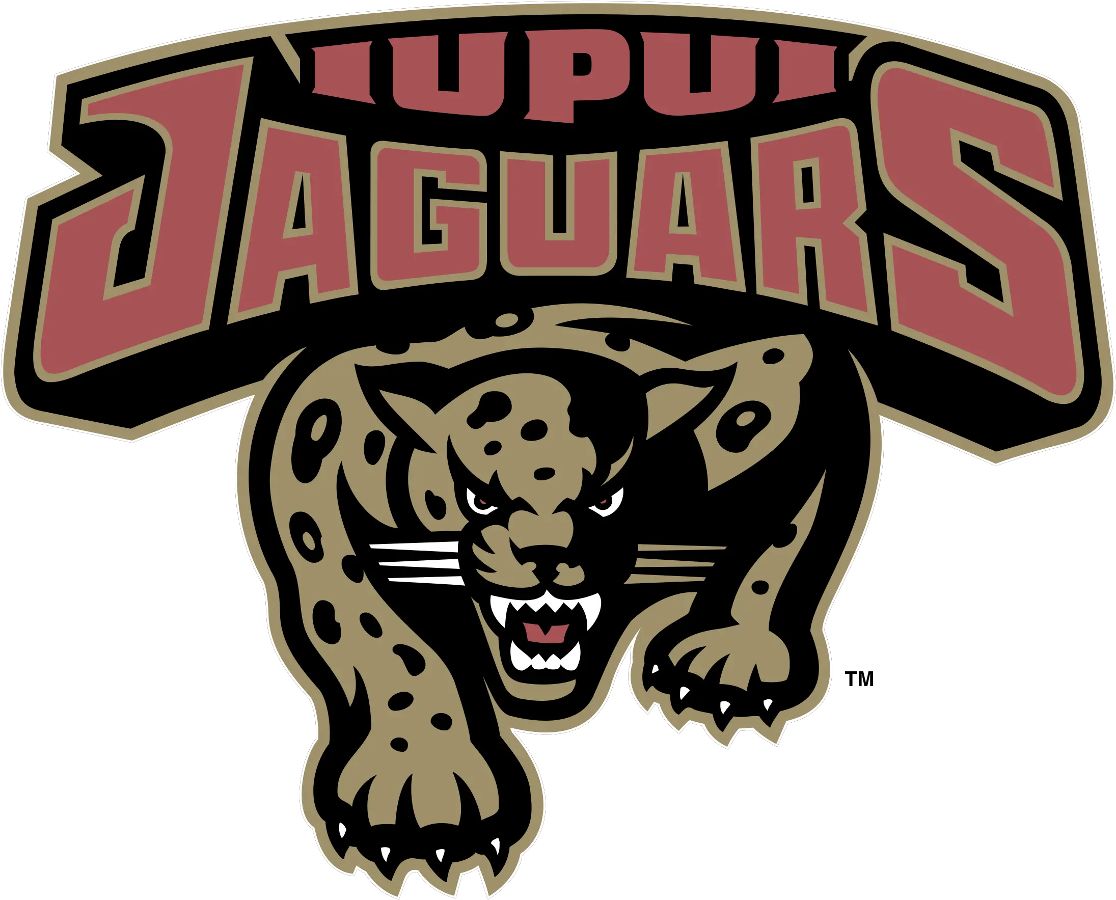  Iupui Jaguars Logo Png Transparent Holmes County Central High School Logo Jaguars Logo Png