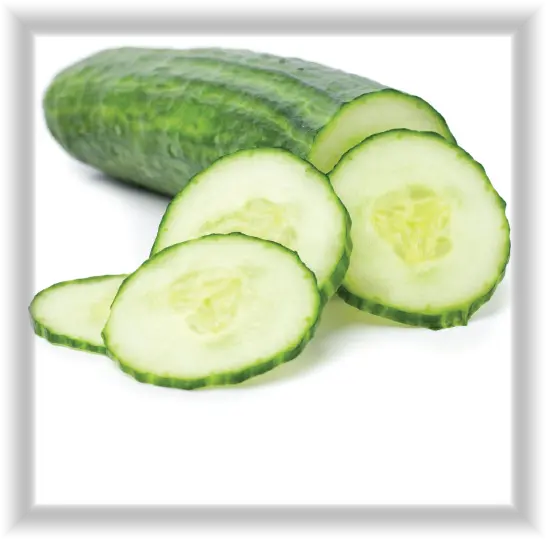  Cucumber Products Cucumber Transparent Png Cucumber Png