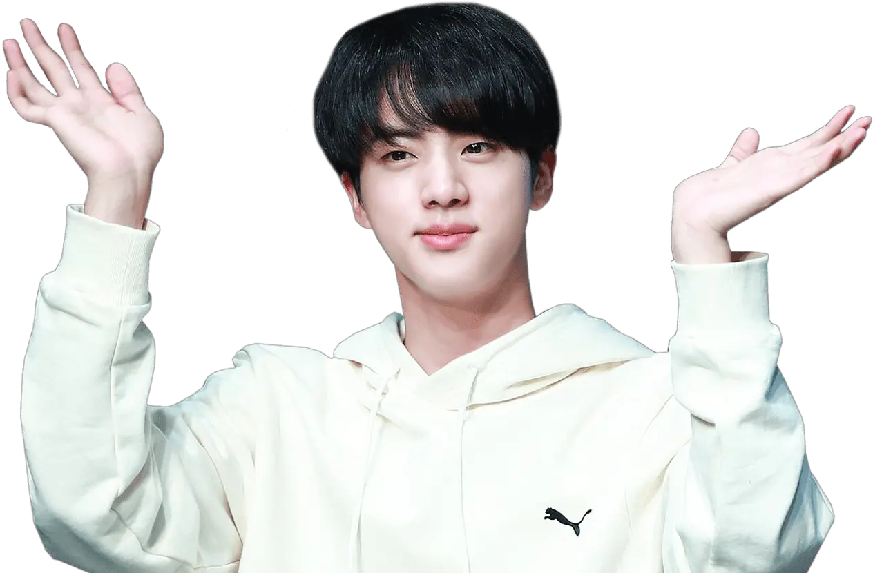  Bts Jin Beapanda Sticker By Annel Carhuancho Jin Full Jin Sticker Png Jin Png